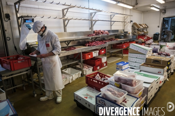 Visite du MIN, Marche International de Rungis