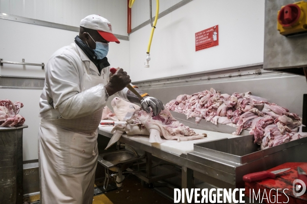 Visite du MIN, Marche International de Rungis