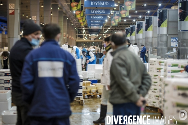 Visite du MIN, Marche International de Rungis