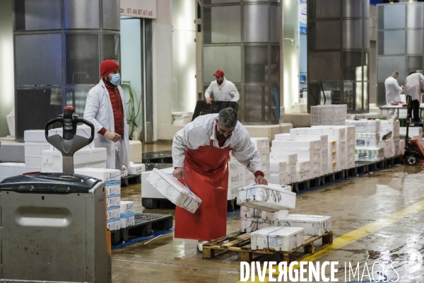 Visite du MIN, Marche International de Rungis
