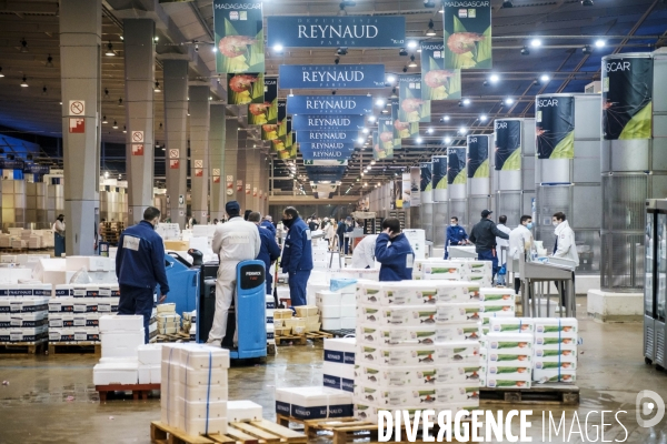 Visite du MIN, Marche International de Rungis