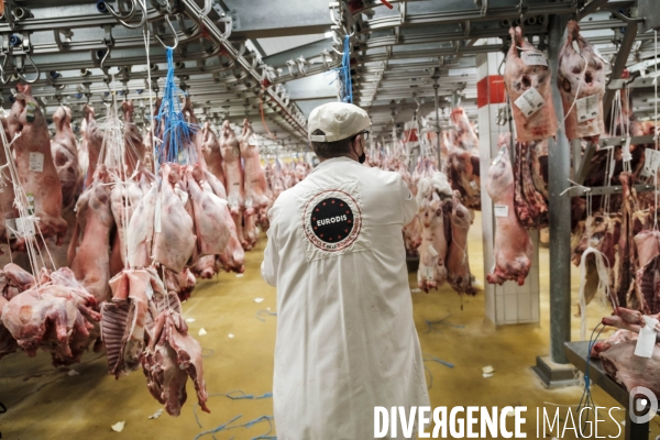 Visite du MIN, Marche International de Rungis