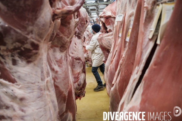 Visite du MIN, Marche International de Rungis