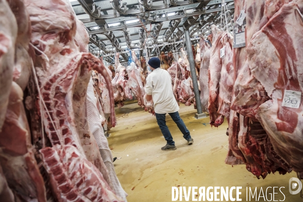 Visite du MIN, Marche International de Rungis