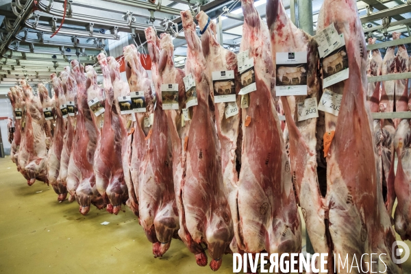 Visite du MIN, Marche International de Rungis