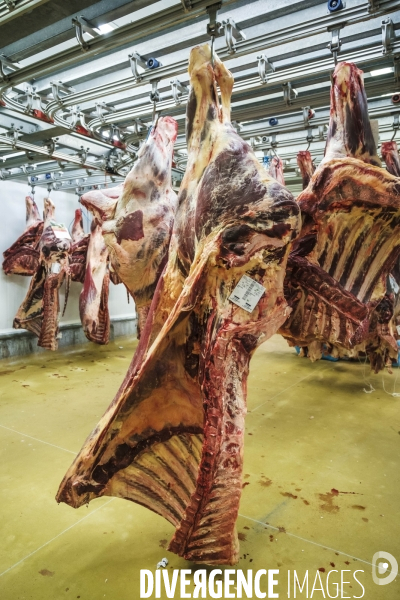 Visite du MIN, Marche International de Rungis