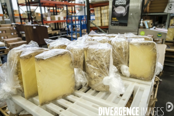 Visite du MIN, Marche International de Rungis