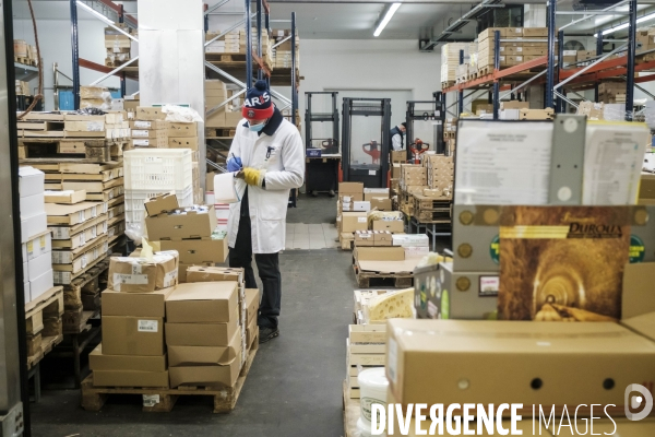 Visite du MIN, Marche International de Rungis