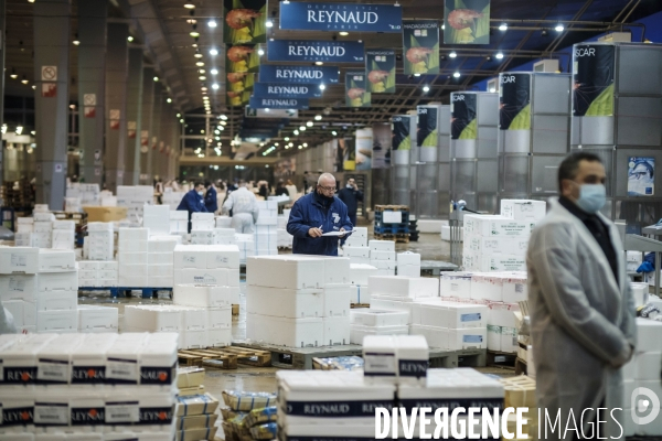 Visite du MIN, Marche International de Rungis