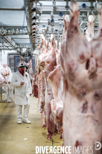 Visite du MIN, Marche International de Rungis
