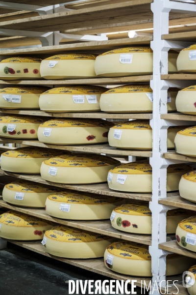Visite du MIN, Marche International de Rungis