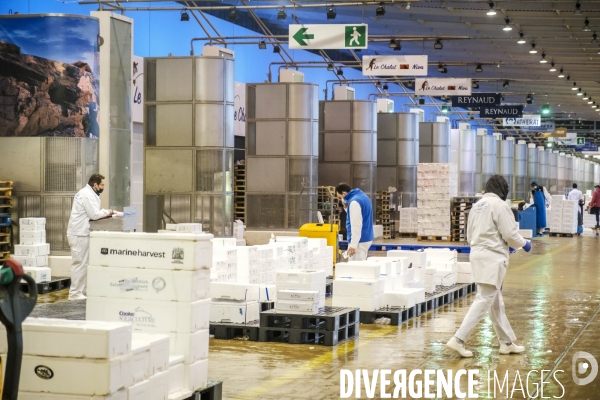 Visite du MIN, Marche International de Rungis