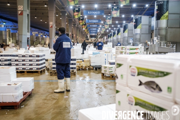 Visite du MIN, Marche International de Rungis