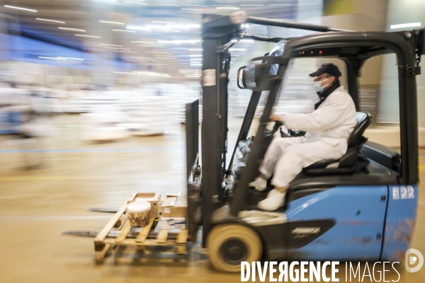 Visite du MIN, Marche International de Rungis