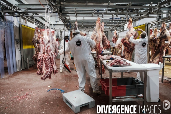 Visite du MIN, Marche International de Rungis