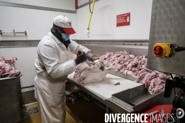 Visite du MIN, Marche International de Rungis