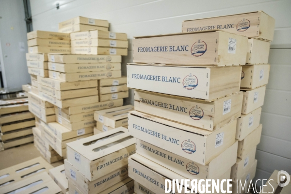 Visite du MIN, Marche International de Rungis