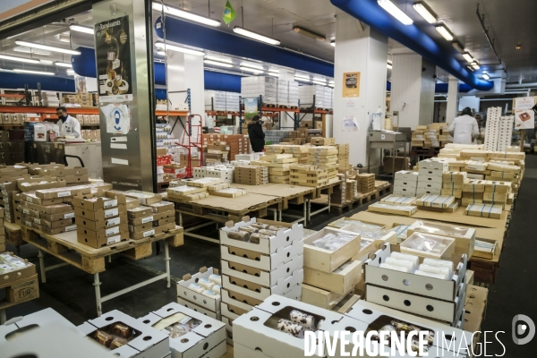 Visite du MIN, Marche International de Rungis