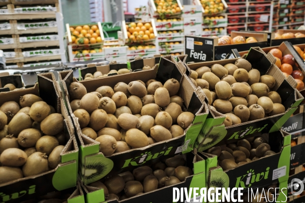Visite du MIN, Marche International de Rungis