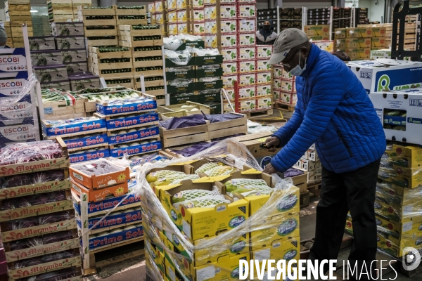 Visite du MIN, Marche International de Rungis