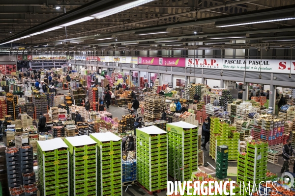 Visite du MIN, Marche International de Rungis