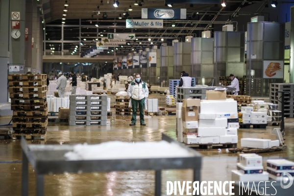 Visite du MIN, Marche International de Rungis