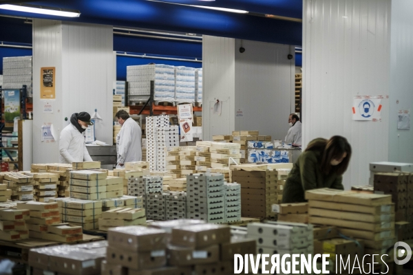 Visite du MIN, Marche International de Rungis