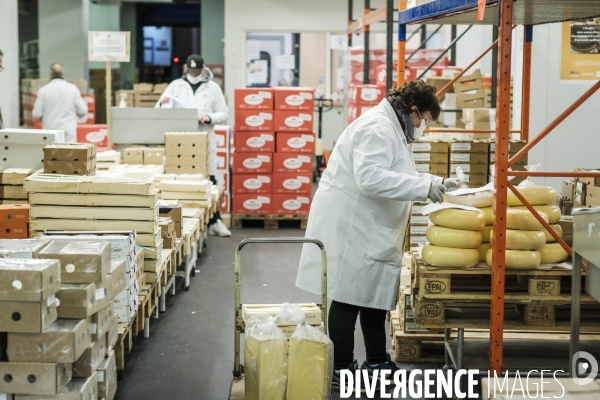 Visite du MIN, Marche International de Rungis