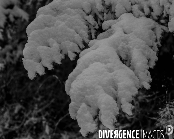 Mon Hiver à l envers #2