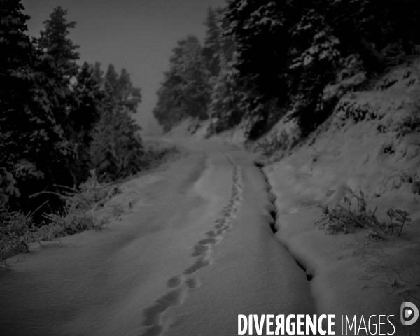 Mon Hiver à l envers #2