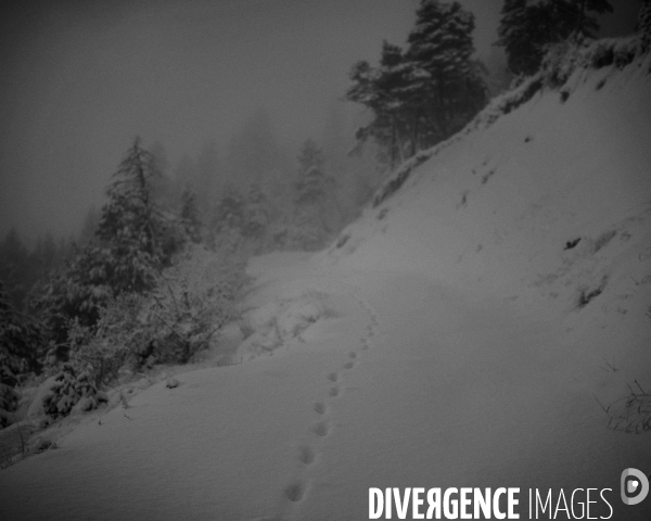 Mon Hiver à l envers #2