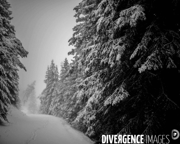 Mon Hiver à l envers #2