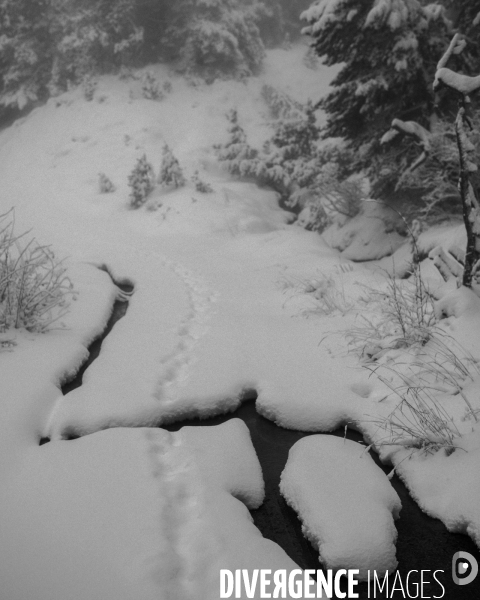 Mon Hiver à l envers #2