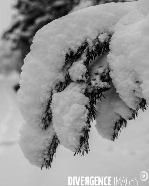 Mon Hiver à l envers #2