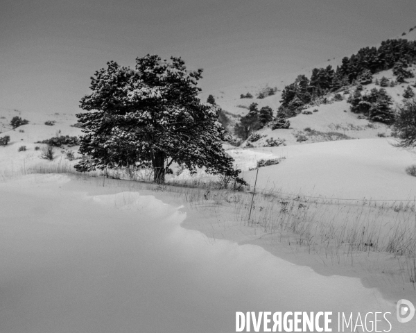 Mon Hiver à l envers #2