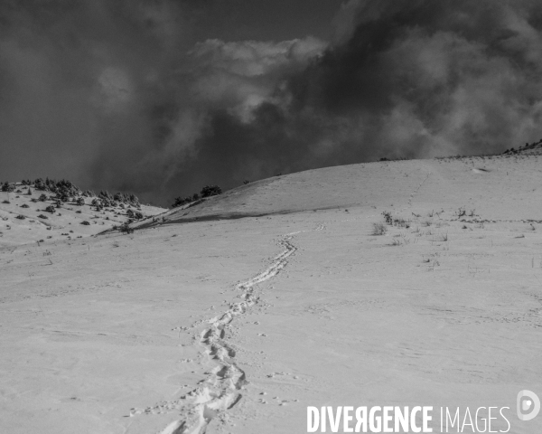 Mon Hiver à l envers #2