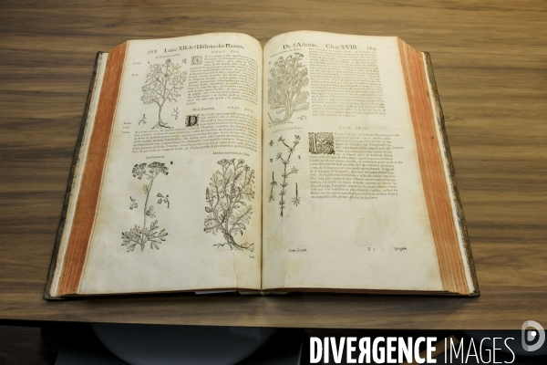 Bibliotheque de la Societe Nationale d Horticulture de France.