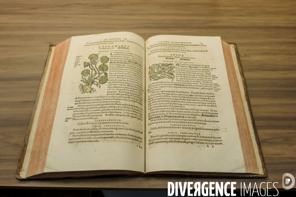 Bibliotheque de la Societe Nationale d Horticulture de France.