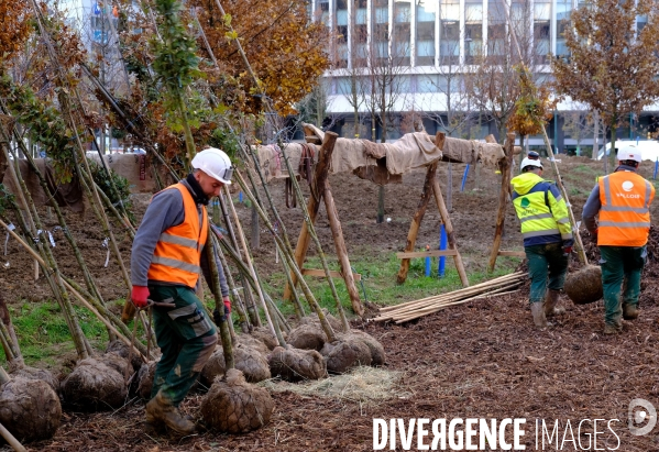 Anne Hidalgo assiste à la plantation de la foret urbaine, place de Catalogne