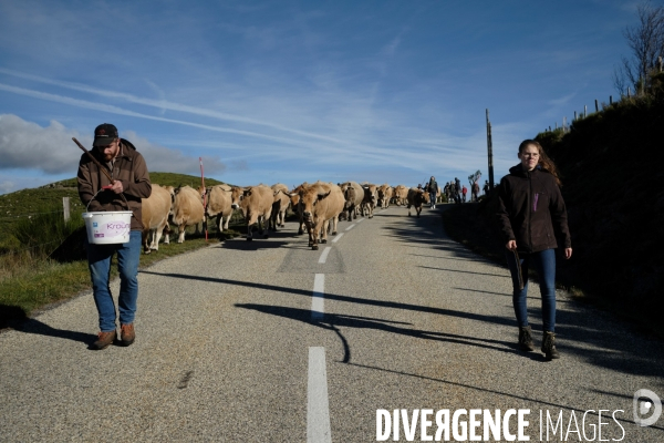La Transhumance