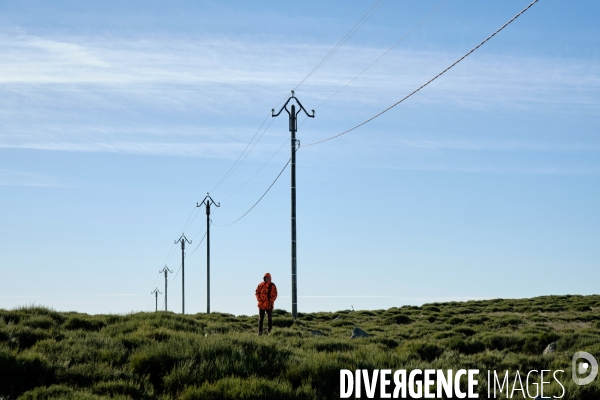 La Transhumance