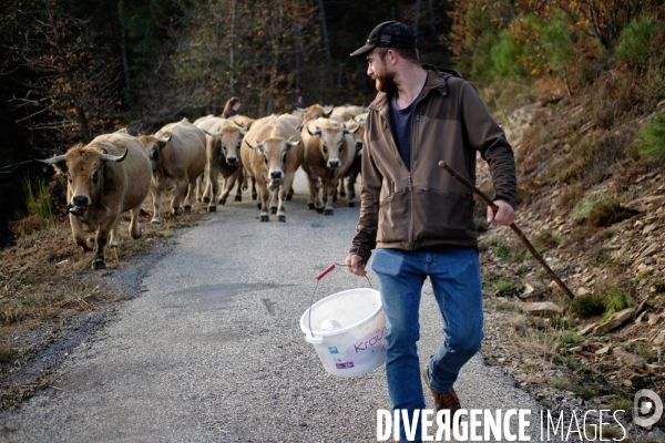 La Transhumance