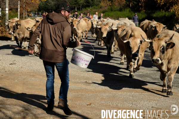 La Transhumance