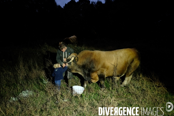 La Transhumance