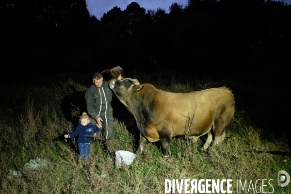 La Transhumance