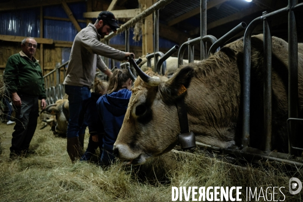 La Transhumance