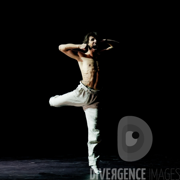 Gods and dogs / Jirí Kylián / Ballet de l   Opéra national de Paris