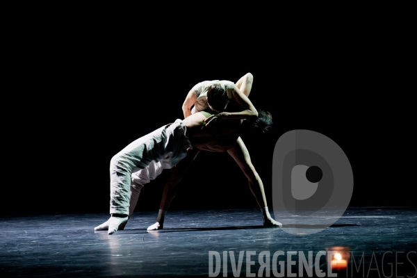 Gods and dogs / Jirí Kylián / Ballet de l   Opéra national de Paris