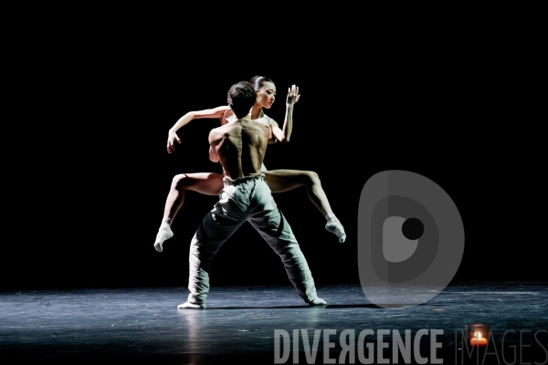 Gods and dogs / Jirí Kylián / Ballet de l   Opéra national de Paris