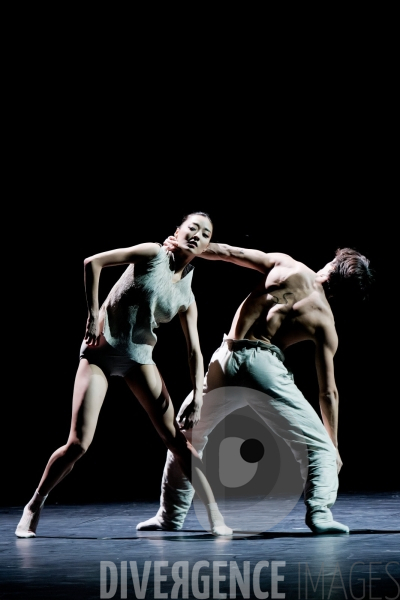 Gods and dogs / Jirí Kylián / Ballet de l   Opéra national de Paris